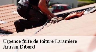 Urgence fuite de toiture
