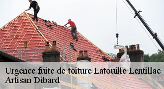Urgence fuite de toiture