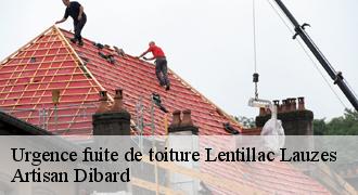 Urgence fuite de toiture