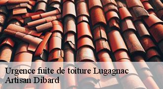 Urgence fuite de toiture