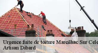 Urgence fuite de toiture