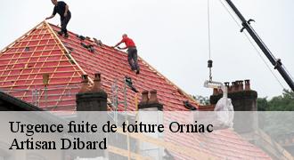 Urgence fuite de toiture