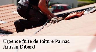 Urgence fuite de toiture