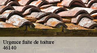 Urgence fuite de toiture