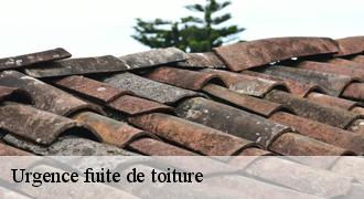 Urgence fuite de toiture