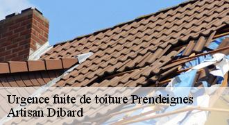 Urgence fuite de toiture