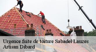 Urgence fuite de toiture