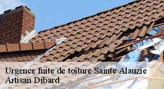 Urgence fuite de toiture