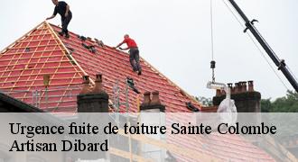 Urgence fuite de toiture