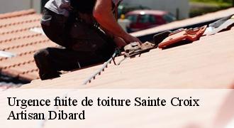Urgence fuite de toiture