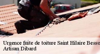 Urgence fuite de toiture