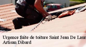 Urgence fuite de toiture