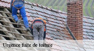 Urgence fuite de toiture