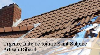 Urgence fuite de toiture
