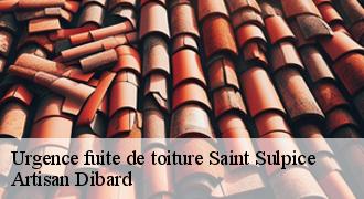 Urgence fuite de toiture