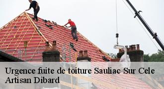 Urgence fuite de toiture