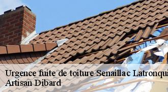 Urgence fuite de toiture