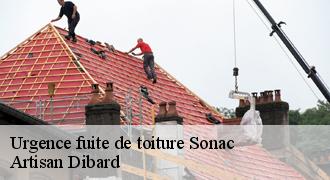 Urgence fuite de toiture
