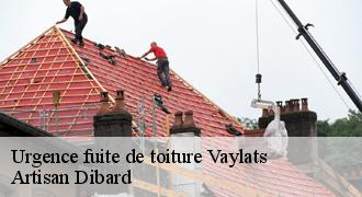 Urgence fuite de toiture