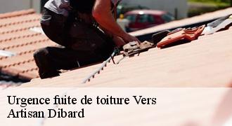 Urgence fuite de toiture