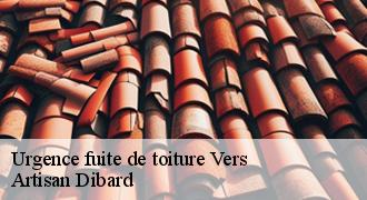 Urgence fuite de toiture
