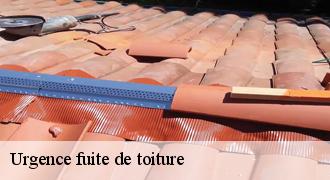 Urgence fuite de toiture