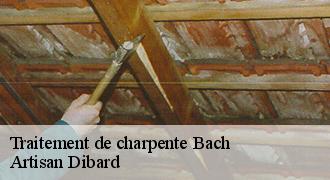 Traitement de charpente