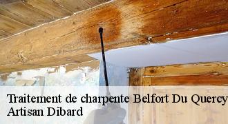 Traitement de charpente