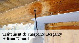 Traitement de charpente