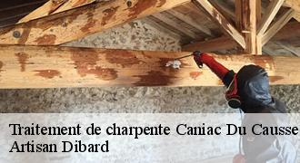 Traitement de charpente