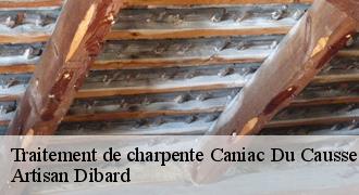 Traitement de charpente