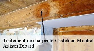 Traitement de charpente