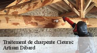 Traitement de charpente