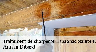 Traitement de charpente