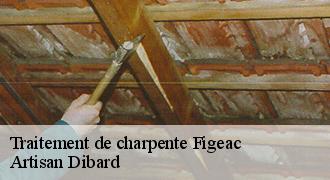 Traitement de charpente