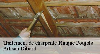 Traitement de charpente