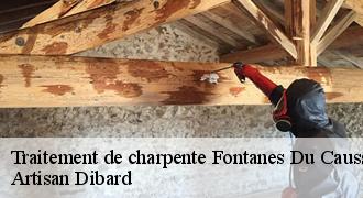 Traitement de charpente
