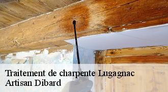 Traitement de charpente