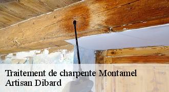 Traitement de charpente