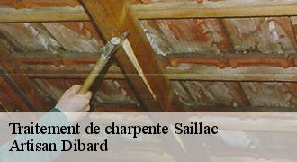 Traitement de charpente