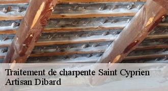 Traitement de charpente