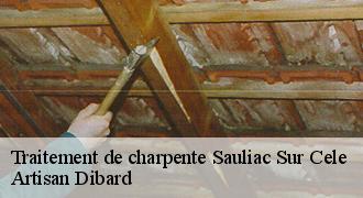 Traitement de charpente