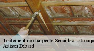 Traitement de charpente