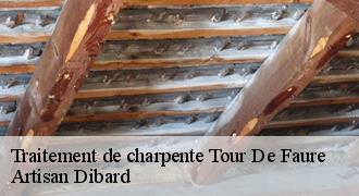 Traitement de charpente