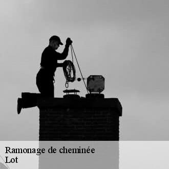 Ramonage de cheminée