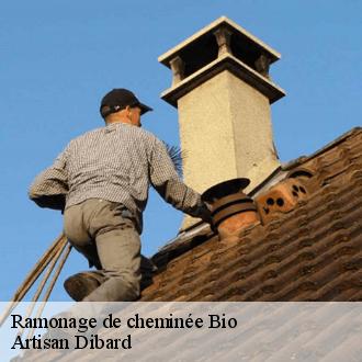 Ramonage de cheminée