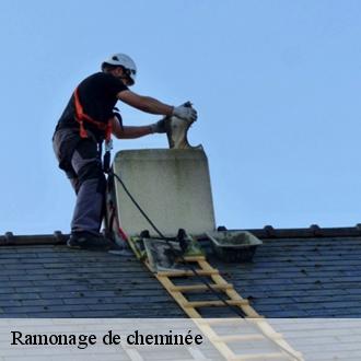 Ramonage de cheminée