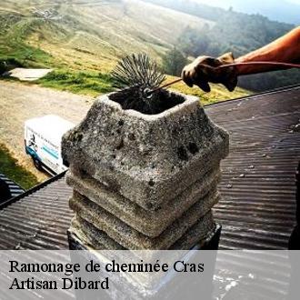 Ramonage de cheminée