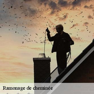 Ramonage de cheminée