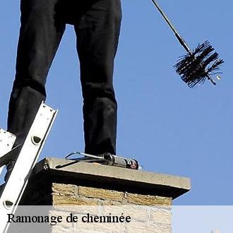 Ramonage de cheminée